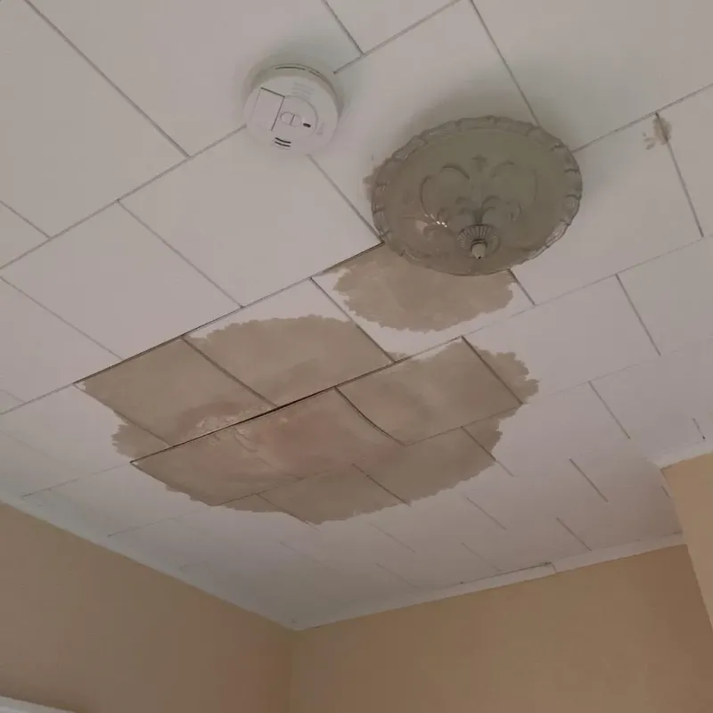 Ceiling Water Damage Repair in Effort, PA