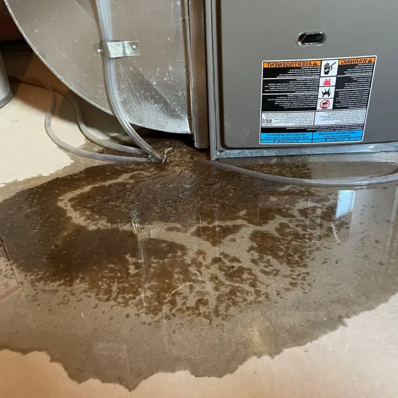 Pipe Burst and Leak Restoration in Effort, PA
