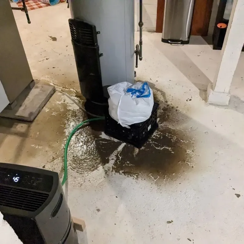 Sewage Backup Cleanup Service in Effort, PA
